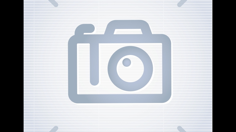 Boxer FT 245-404 4 in 1 bak